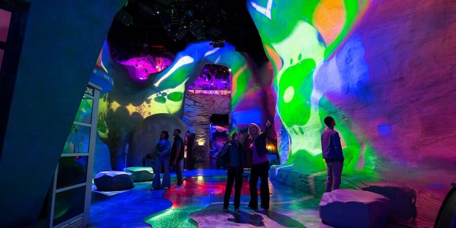 Las Vegas: Meow Wolf Omega Mart Ticket - What you may want to buy