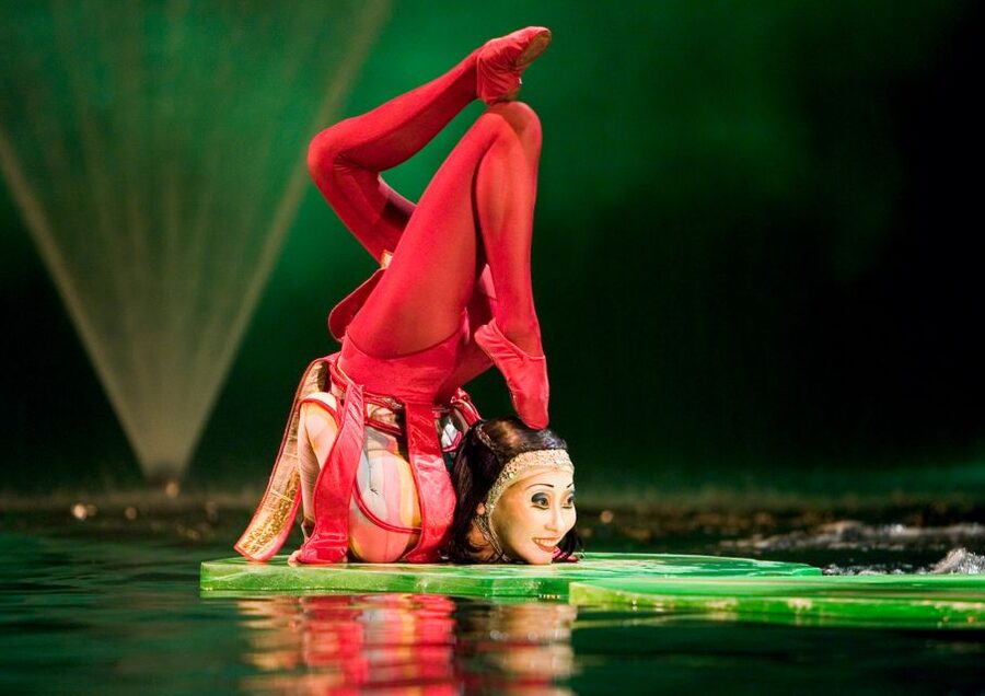 Las Vegas: “O” by Cirque du Soleil at Bellagio - Who should book O at Bellagio?