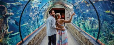 Shark Reef Aquarium Entry Ticket