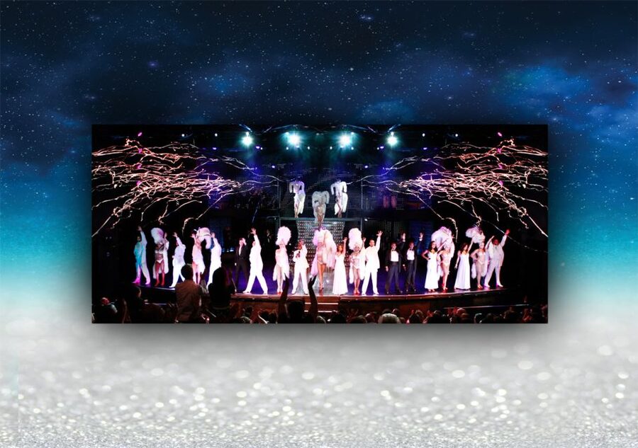 Las Vegas: Vegas! The Show Ticket - Practical tips before you book