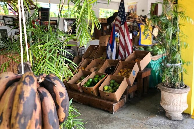 Little Havana: Authentic Food and Culture Walking Tour - Mojitos, Sugarcane Juice, and the Drinking Side of Calle Ocho