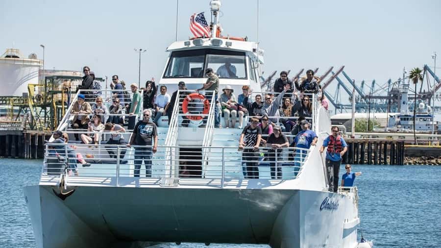 Long Beach: Whale and Dolphin Watching Cruise - Who will enjoy this cruise most