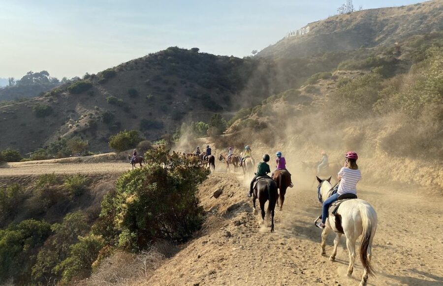 Los Angeles: Mulholland Trail Horseback Riding Tour - Meeting the horses and getting matched