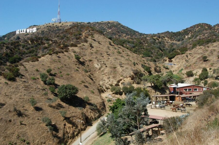 Los Angeles: Mulholland Trail Horseback Riding Tour - A short lesson before the trail