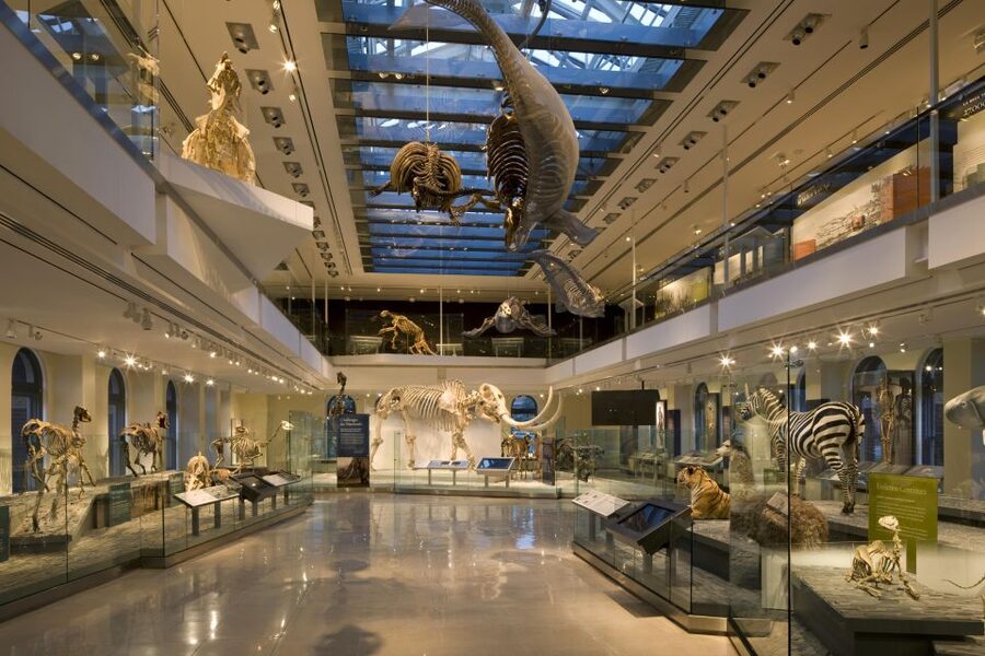 Los Angeles: Natural History Museum of LA Entry Ticket - What the $18 ticket covers