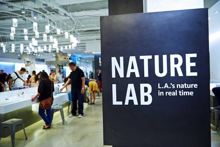 Los Angeles: Natural History Museum of LA Entry Ticket - Who will enjoy this museum most