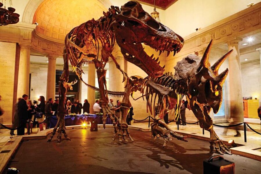 Los Angeles: Natural History Museum of LA Entry Ticket - The Mineral Hall is small in space but big on sparkle