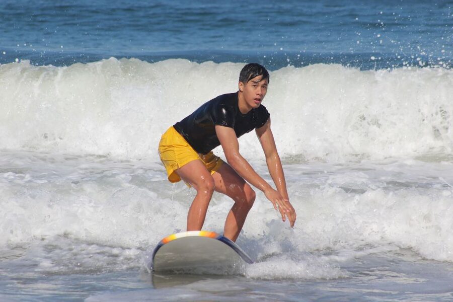 Los Angeles: Surfing Lesson in Venice Beach - The Venice Beach setting