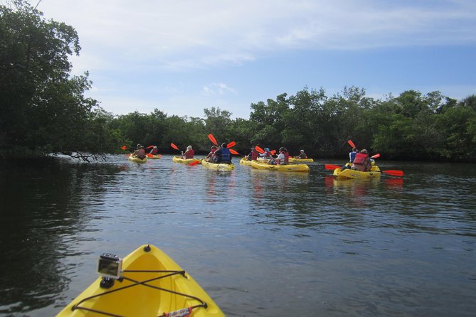 Lovers Key Guided Eco Tour-Mangrove Estuary - What the 2 Hours 15 Minutes Feels Like