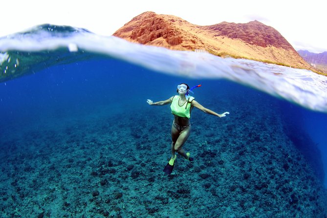 Luxury Snorkel Cruise, Local Buffet with Whale & Dolphin Watch - Leaving Ko Olina for Oahu’s open western coast