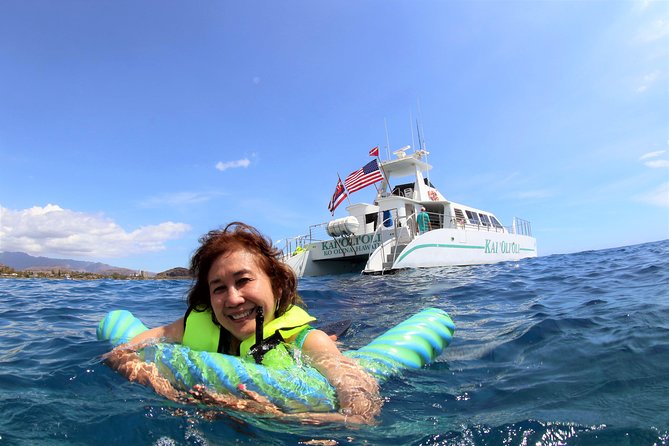 Luxury Snorkel Cruise, Local Buffet with Whale & Dolphin Watch - Watching dolphins and seasonal humpback whales