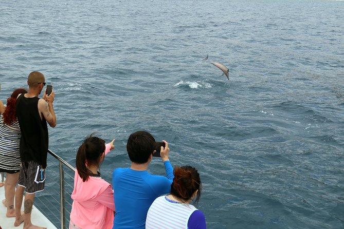 Luxury Snorkel Cruise, Local Buffet with Whale & Dolphin Watch - Is $174 a fair price for three and a half hours?