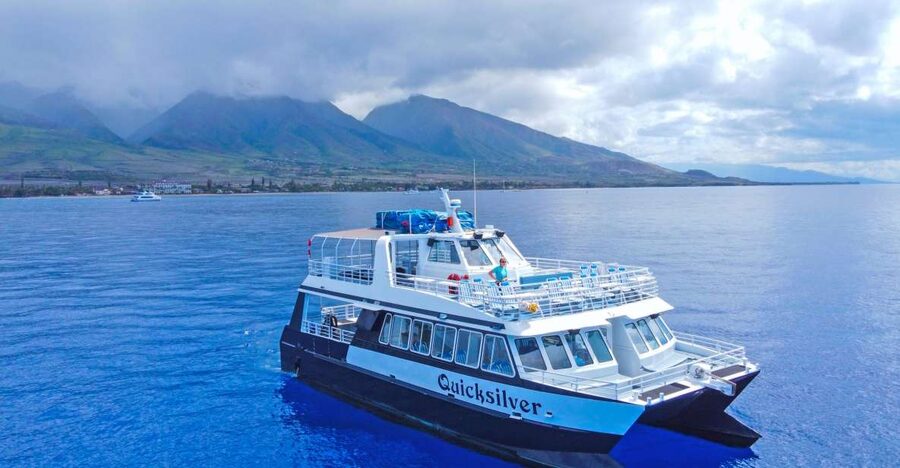Ma'alaea Harbor: Whale Watching Tour Aboard Power Catamaran - Why Maalaea Bay is a strong place for whale watching