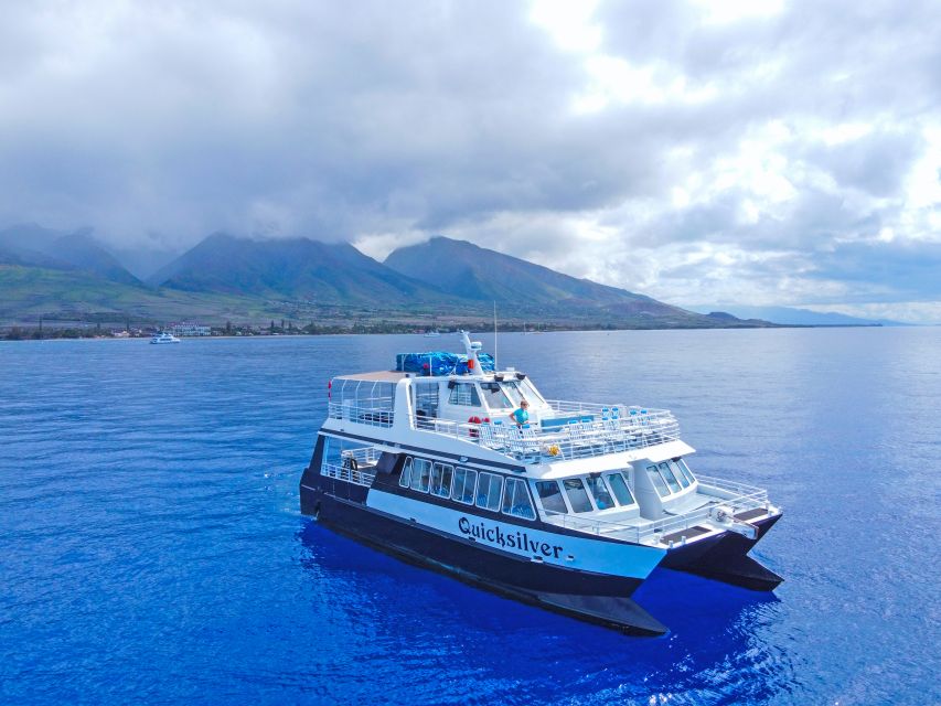 Ma'alaea Harbor: Whale Watching Tour Aboard Power Catamaran - Boarding at Boss Frog’s and finding the boat