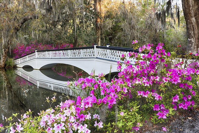 Magnolia Plantation Admission & Tour with Transportation from Charleston - Why Magnolia works as a half-day outing