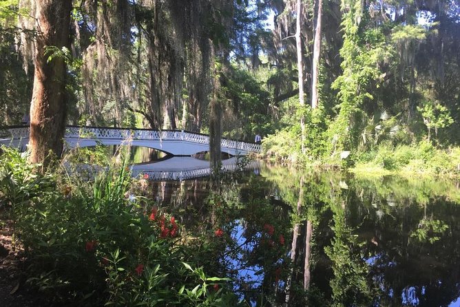 Magnolia Plantation Admission & Tour with Transportation from Charleston - The narrated tram through swamp and rice fields