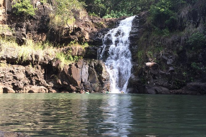 Majestic Circle Island Tour with Lunch - Tropical Farms and the macadamia nut stop