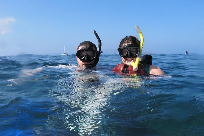 Makena Turtle Town Eco Adventure in Maui - Two snorkel stops with turtles and reef life
