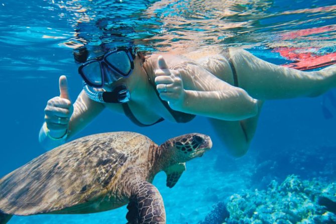 Makena Turtle Town Eco Adventure in Maui - The paddle toward Turtle Town