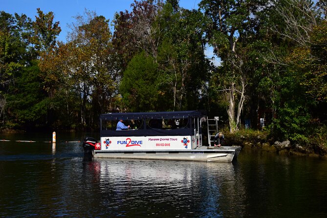Manatee Snorkel Small Group Tour - Key details before you book