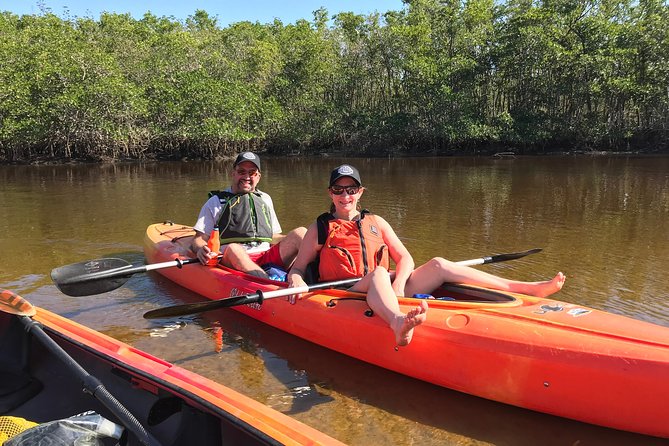 Manatees and Mangrove Tunnels Small Group Kayak Tour - What the $95 price buys you