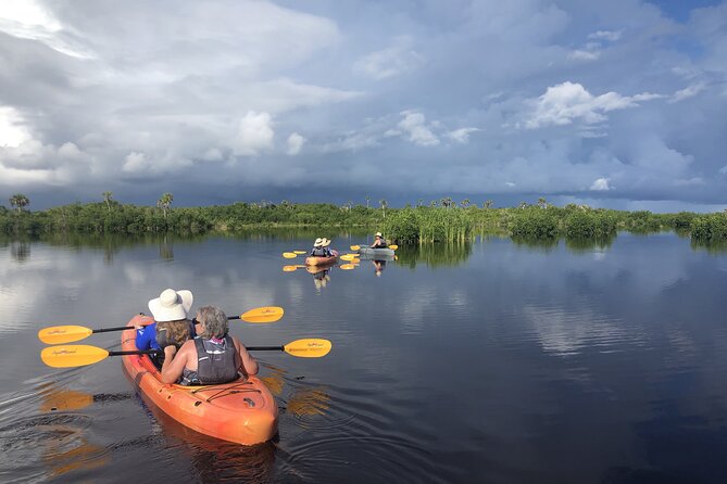 Manatees and Mangrove Tunnels Small Group Kayak Tour - The warm-water canal and winter manatees