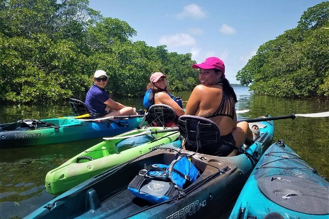Mangrove Tunnel Kayak Adventure in Key Largo - Paddling into Key Largo’s mangrove tunnels