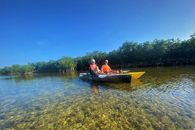 Mangrove Tunnel Kayak Adventure in Key Largo - Wildlife sightings, from osprey to manatees