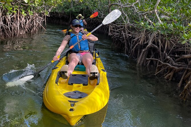 Mangrove Tunnel Kayak Adventure in Key Largo - Optional snorkeling in the clear water
