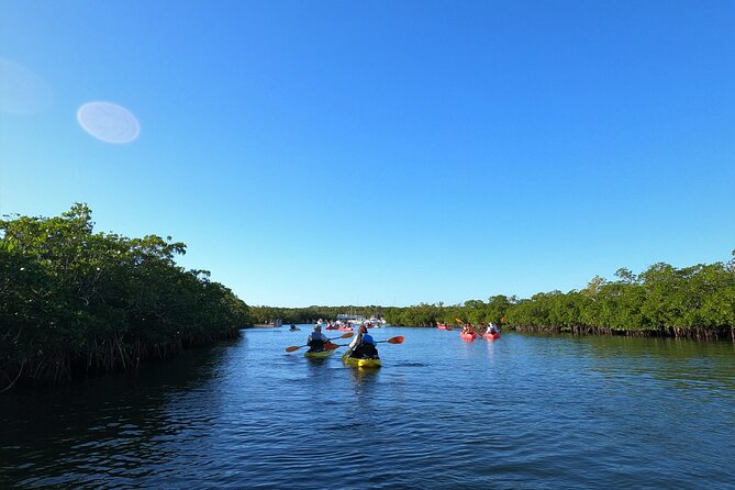 Mangrove Tunnel Kayak Adventure in Key Largo - Heat, mosquitoes, and what to bring