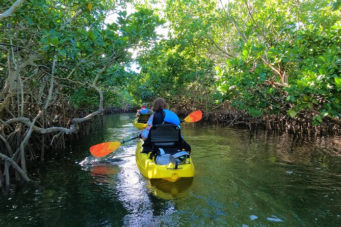 Mangrove Tunnel Kayak Adventure in Key Largo - The guides make the difference