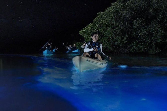 Mangrove Tunnels, Dolphins, Manatee Tour #1 Rated in Cocoa Beach - Is $59 a good value?