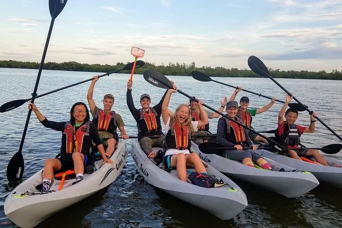 Mangrove Tunnels, Dolphins, Manatee Tour #1 Rated in Cocoa Beach - The practical details that matter