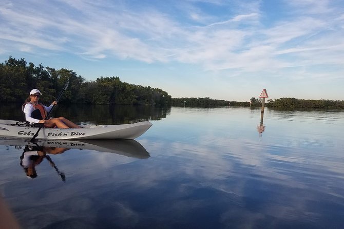Mangrove Tunnels, Dolphins, Manatee Tour #1 Rated in Cocoa Beach - Who will enjoy this most