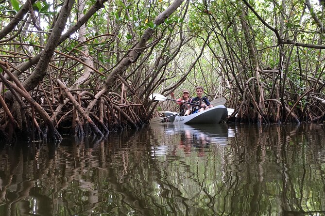Mangrove Tunnels, Dolphins, Manatee Tour #1 Rated in Cocoa Beach - Wildlife watching without false promises