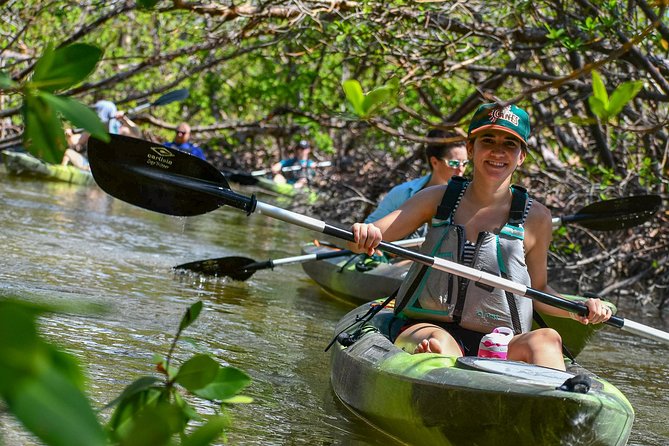 Mangrove Tunnels & Mudflats Kayak Tour - Local Biologist Guides - Why Rookery Bay makes a fine kayak setting