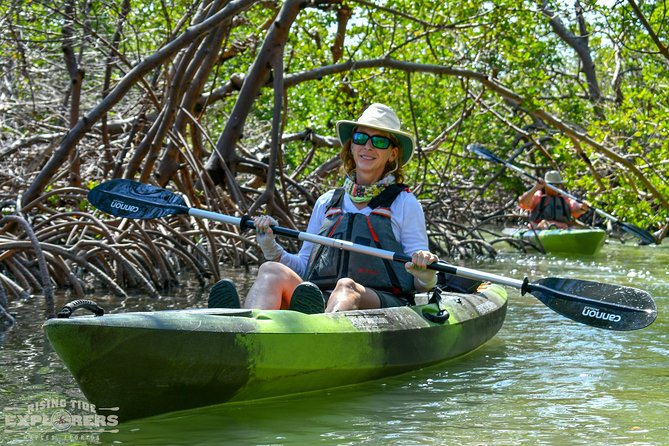 Mangrove Tunnels & Mudflats Kayak Tour - Local Biologist Guides - Paddling through the mangrove tunnels