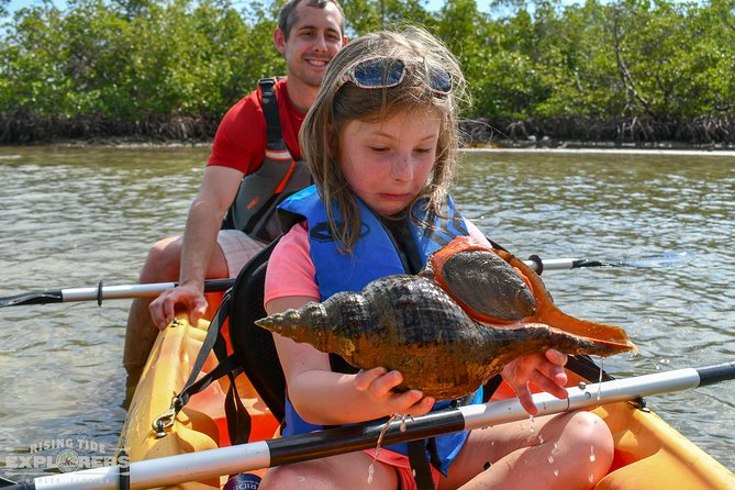 Mangrove Tunnels & Mudflats Kayak Tour - Local Biologist Guides - Starting at Isle of Capri Paddlecraft Park