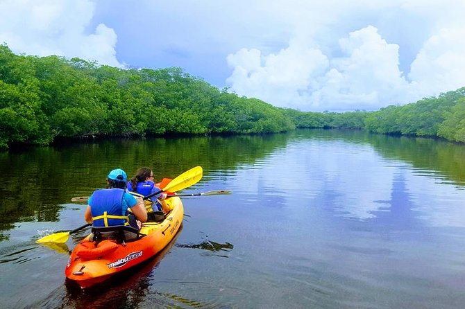 Mangroves and Manatees - Guided Kayak Eco Tour - The first stretch: learning the creek