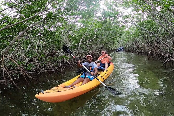 Mangroves and Manatees - Guided Kayak Eco Tour - Inside the mangrove passages