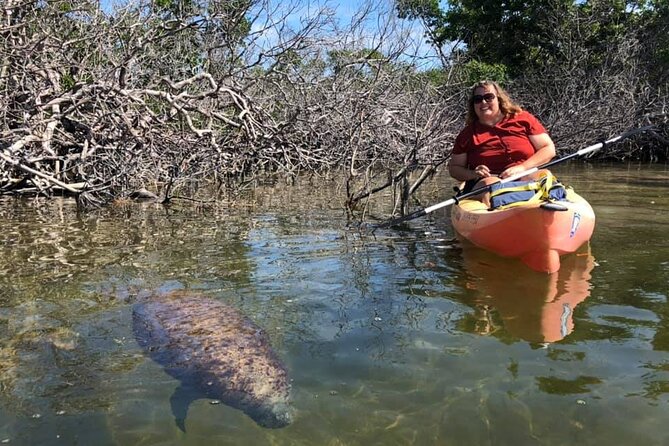 Mangroves and Manatees - Guided Kayak Eco Tour - How hard is the two-hour paddle?