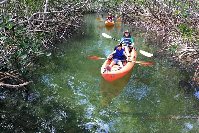 Mangroves and Manatees - Guided Kayak Eco Tour - Group size, guide quality, and the personal feel