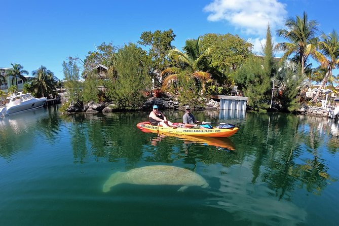 Mangroves and Manatees - Guided Kayak Eco Tour - What happens before launch