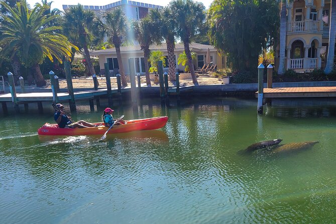 Mangroves, Manatees, and a Hidden Beach: Kayak Tour - Guides who make a difference