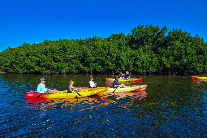 Mangroves, Manatees, and a Hidden Beach: Kayak Tour - Who should choose this Sarasota outing?