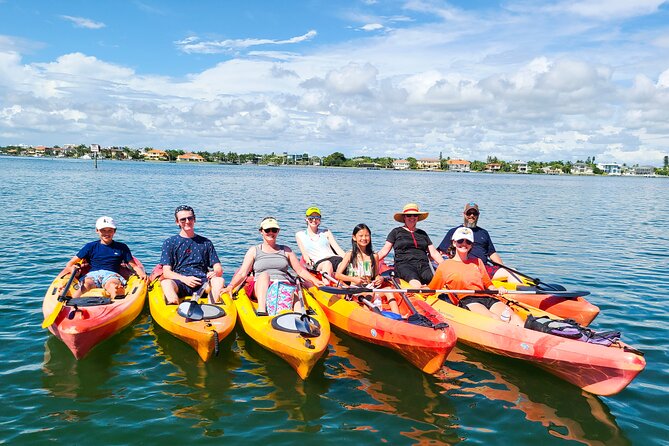 Mangroves, Manatees, and a Hidden Beach: Kayak Tour - Wildlife in a shallow coastal world