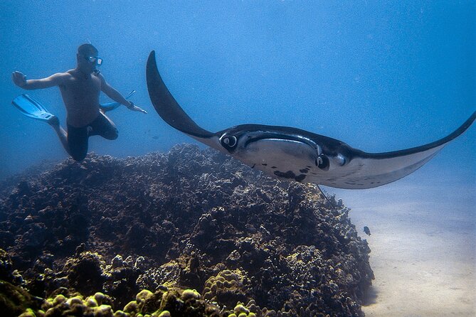 Manta Magic: Small-Group Manta Ray Night Snorkel in Kailua Kona - The small-boat tradeoff