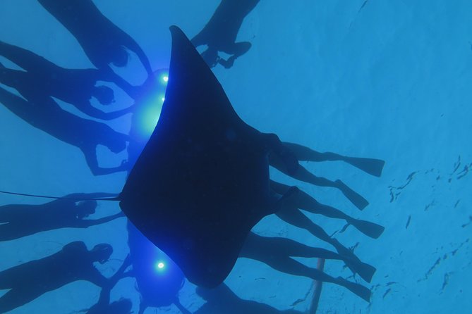 Manta Magic: Small-Group Manta Ray Night Snorkel in Kailua Kona - Who will enjoy this most