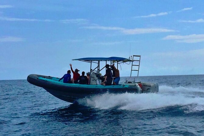 Manta Ray Night Snorkel at Kona, Big Island - The crew and the feeling of safety
