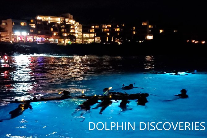 Manta Ray Night Snorkel at Kona, Big Island - How the $44 price holds up